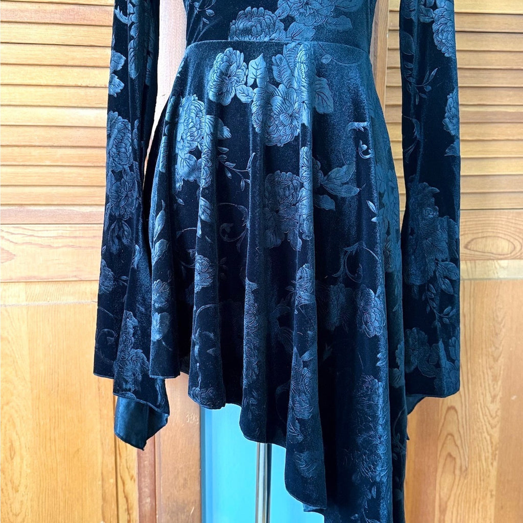 Garden Goth Victorian Dark Fairycore Midnight Blossom Black Velvet Dress