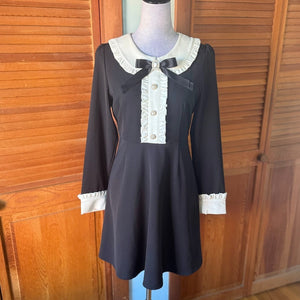 Descriptive image text