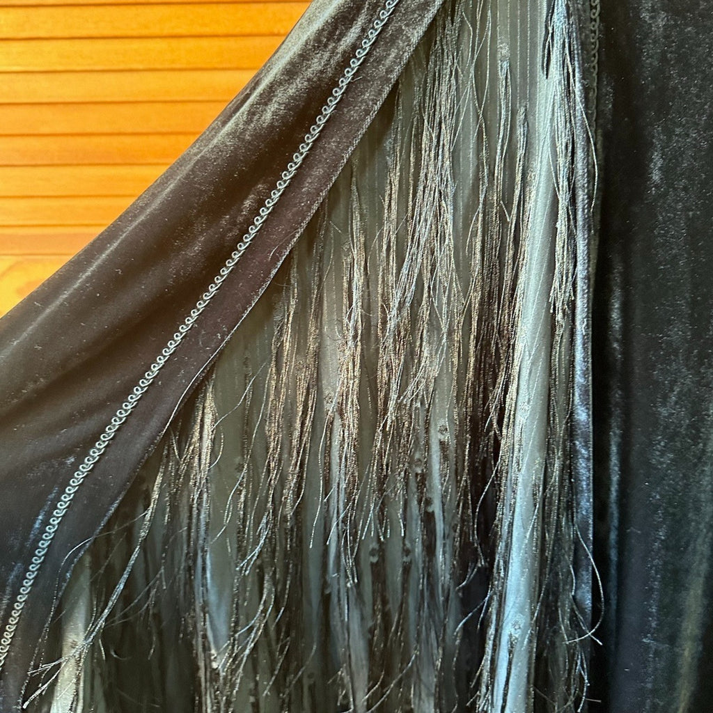 Devil Fashion Gothic Victorian Vampire Vkei Black Velvet "Ricchi" Dress L-2XL