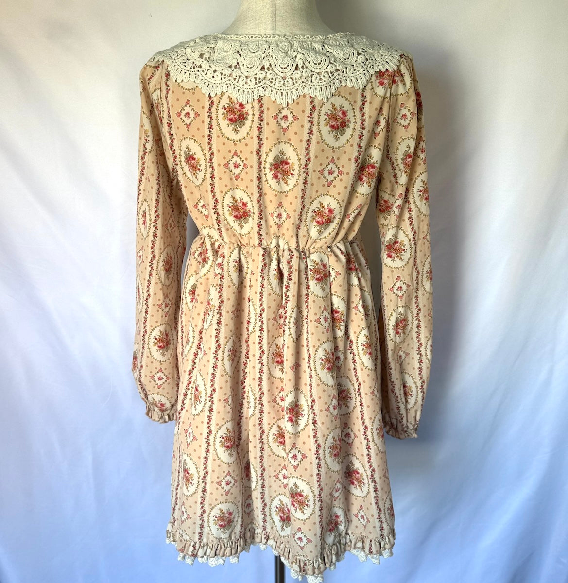 Liz Lisa J-fashion Victorian Rose Cameo Wide Lace Collar Pink Dress S-M