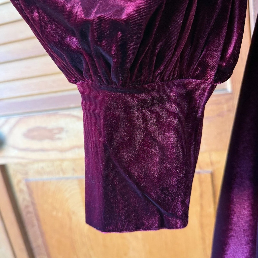 Dark In Love Gothic Victorian Vampire Little Claudia Blood Red Velvet Dress