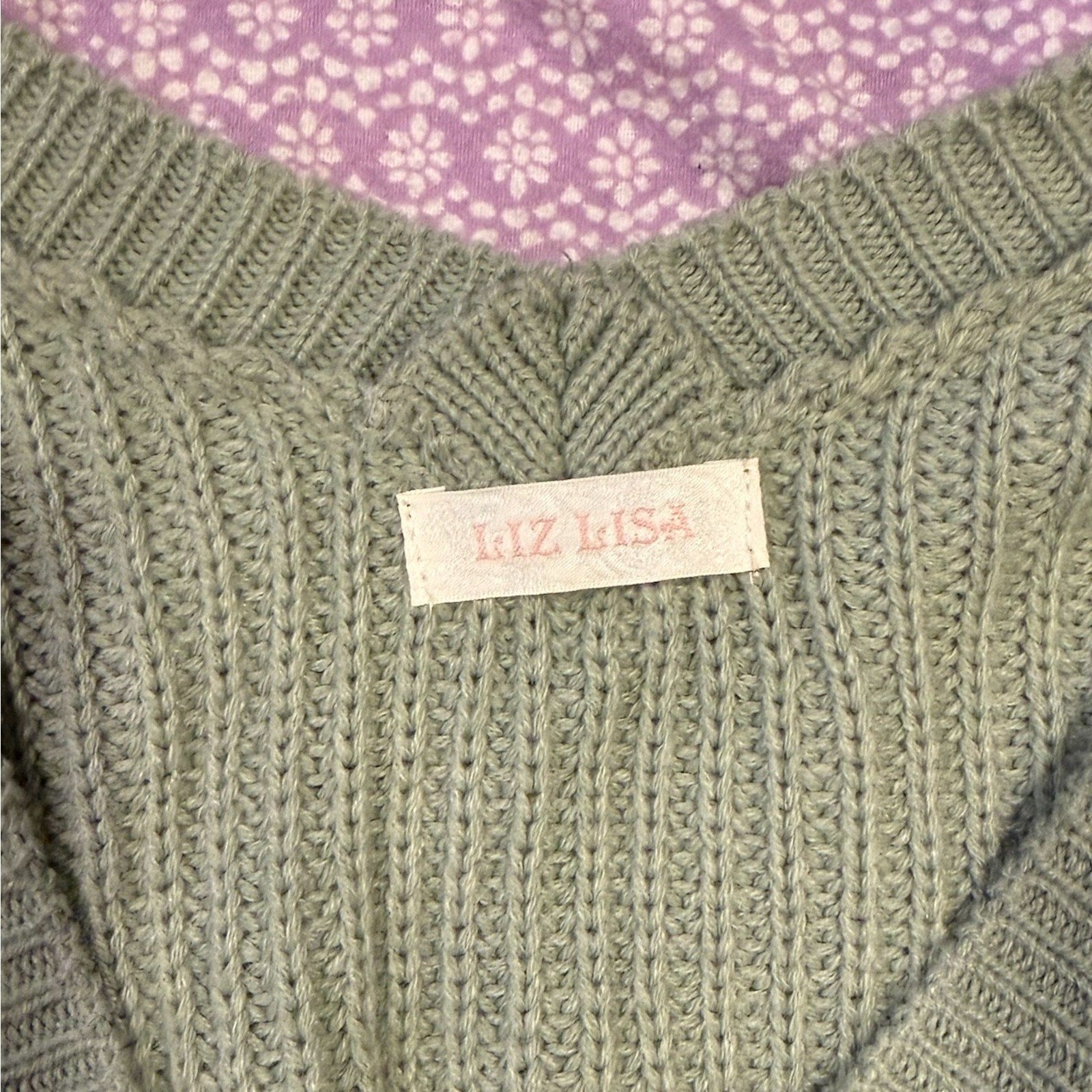 Liz Lisa J-Fashion Jirai Kei Himekaji Fairycore Green Flower Button Sweater Top