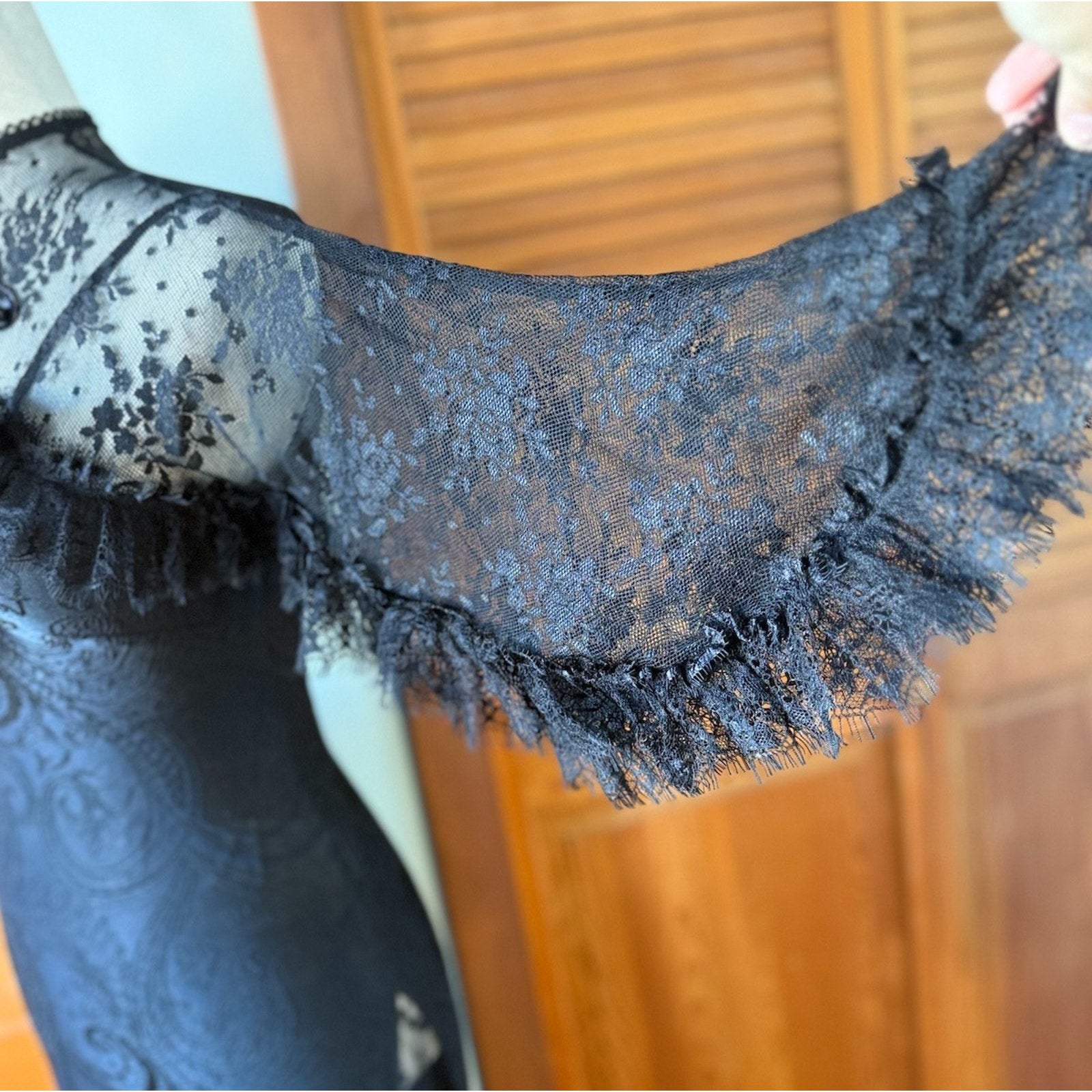 Devil Fashion Gothic Victorian 1930s 'Birds of a Feather' Lace Maxi Gown Dress