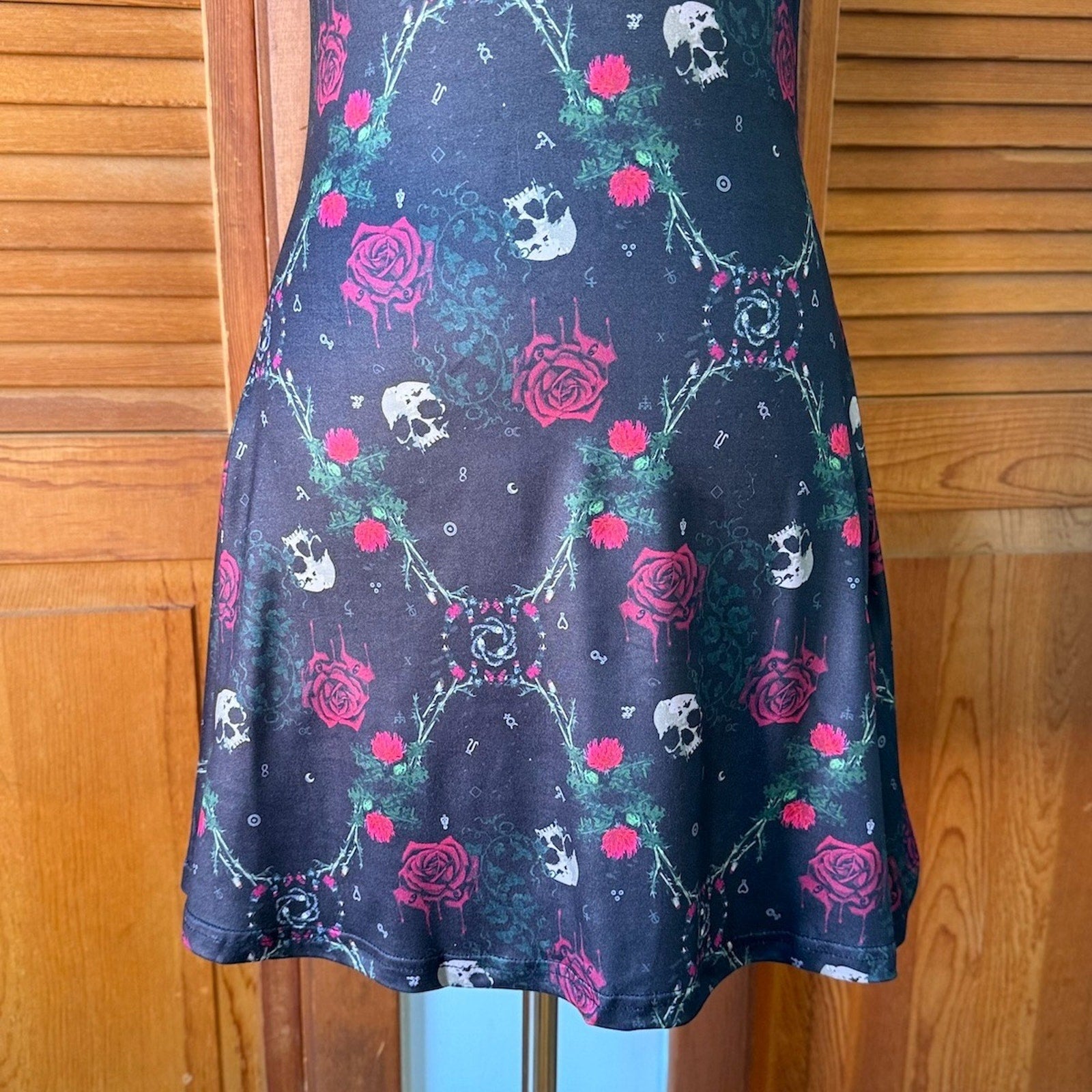 Jawbreaker Goth Punk Alt Emo Walk in the Cemetary Skull & Roses Mini Dress